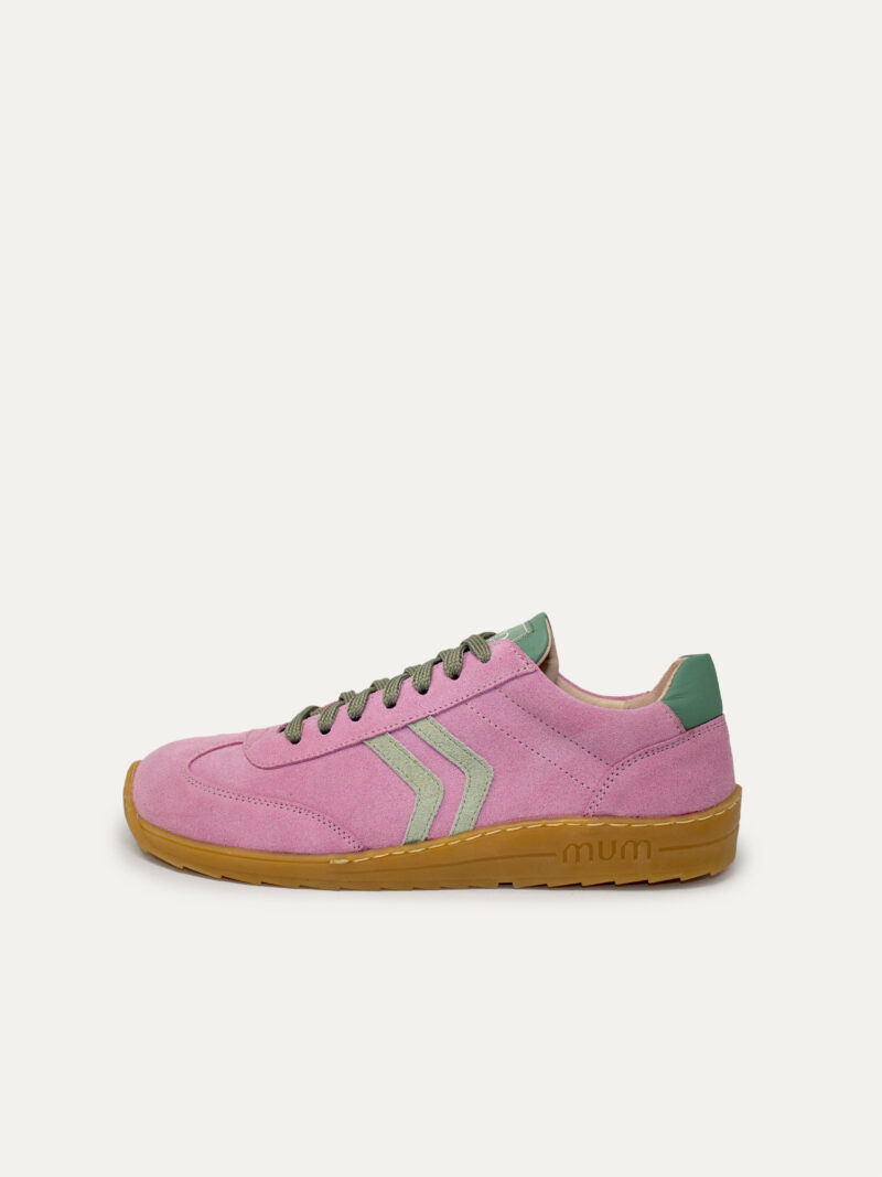 Ines Caladium